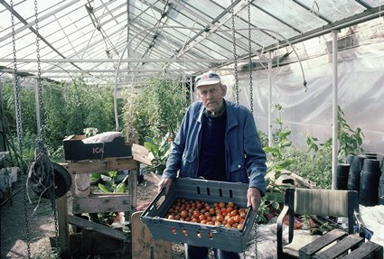91-årige lantbrukaren Artur Kyhlbäck med tomater från Bussemåla gård, 2010.