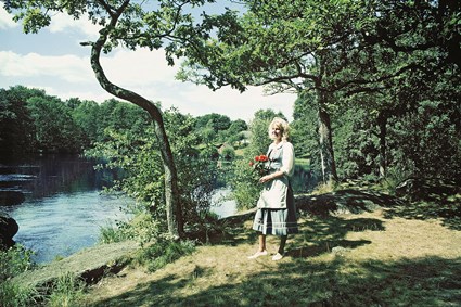 Kärleksön vid Silverforsens strand nära Blekingestugan i Sörby norr om Ronneby, augusti 1986.