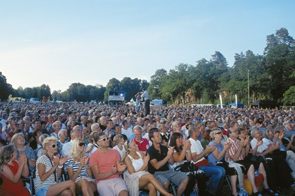 Några av de drygt 9 000 i publiken på Diggiloo 2010 vid Silverbergsplanen i Ronneby, juli 2010.