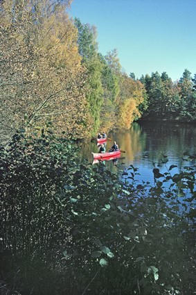 Ronnebyåns kanotled vid Karlsnäsgården 14 kilometer norr om Ronneby, oktober 1997.