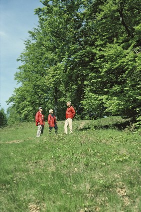 Bokskog på Ryssbergets sluttning nära Sölvesborg, maj 1998.