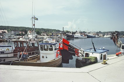 Vid hamnen i Hörvik, juli 1987.