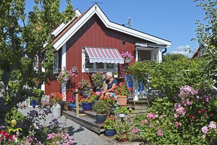 I trädgården på hus nummer 26 på Högalidsvägen, Brändaholms koloniområde, Karlskrona, juli 2016.
